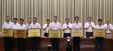 绿丞