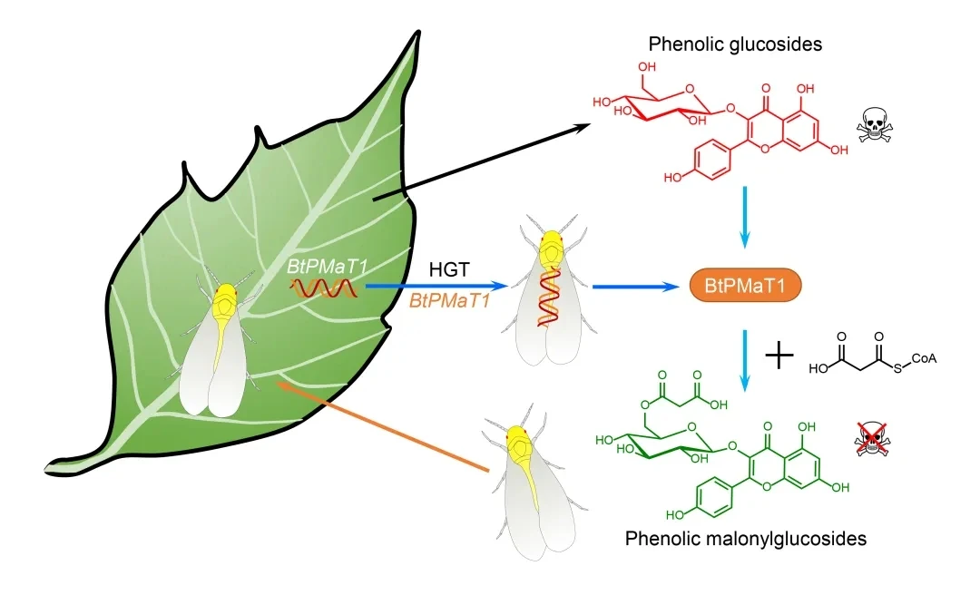 20220118_203451_008.webp 20220118_203451_008.webp
