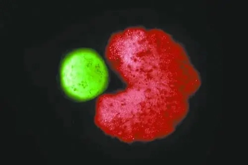 20220118_204704_019.webp 20220118_204704_019.webp