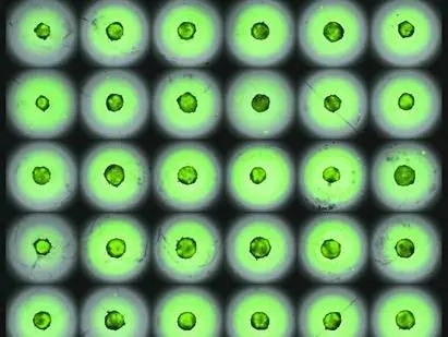 20220118_204704_024.webp 20220118_204704_024.webp