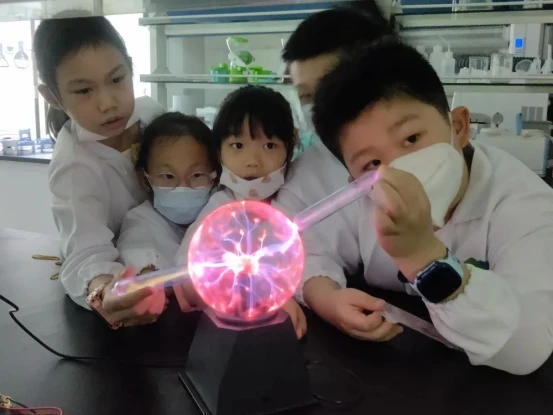 image.webp image.webp