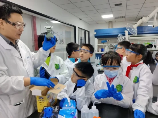 image.webp image.webp