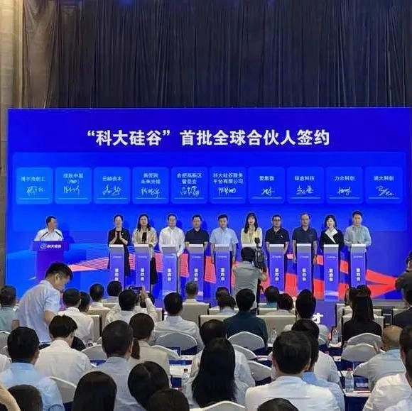 image.webp image.webp